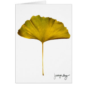 "Gingko" por J. maya Luz