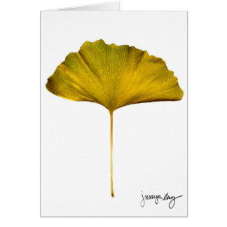 "Gingko" por J. maya Luz
