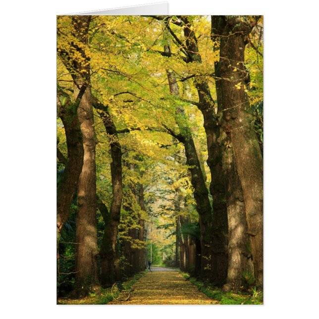 Ginkgo Biloba (Frente)