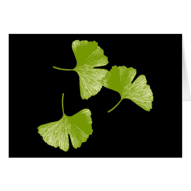 Ginkgo Leaves (Anverso (Horizontal))