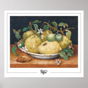 Giovanna Garzoni Zedign Poster de arte #4