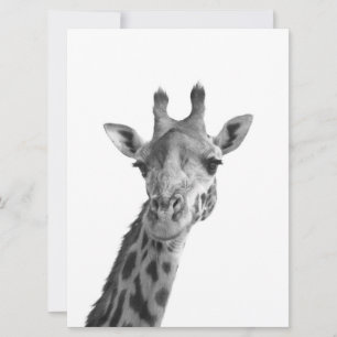 Girafa en blanco y negro