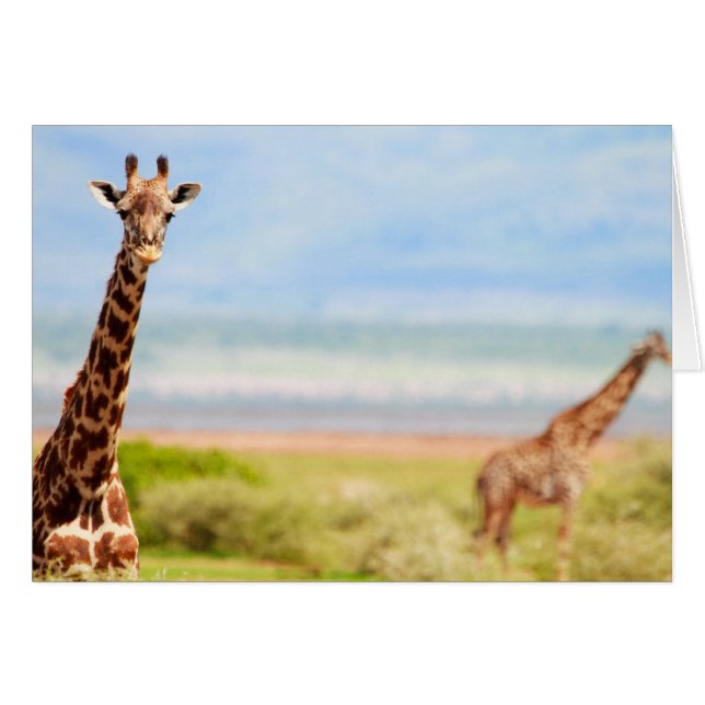 Girafas (Anverso (Horizontal))