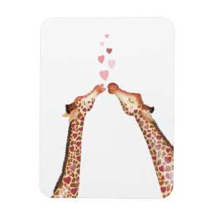 Girafas de besos agudos imán de San Valentín