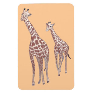 Girafas de madres e hijos dibujando imanes de pers