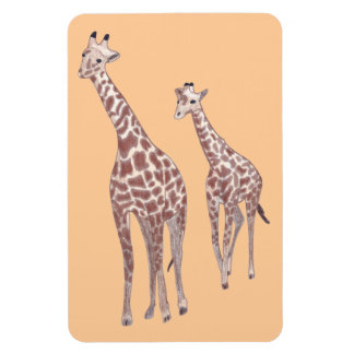 Girafas de madres e hijos dibujando imanes de pers