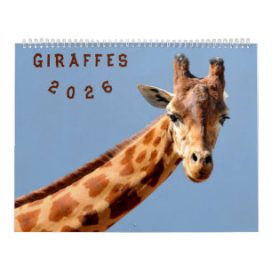Girafas del calendario 2023