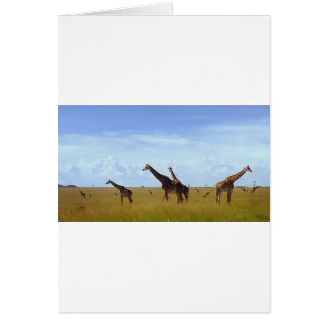 Girafas del Parque Nacional de Nairobi (Frente)