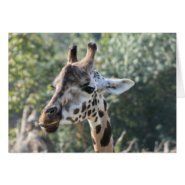 Giraffe (Anverso (Horizontal))