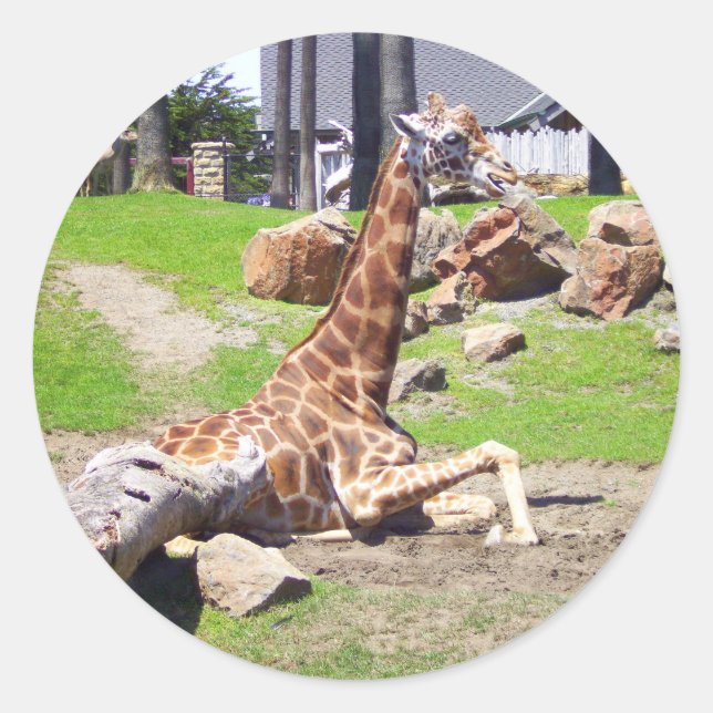 Giraffe #3 Pegatinas (Anverso)