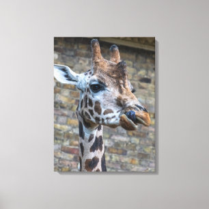 Giraffe arriba de la imagen de lienzos de vista de