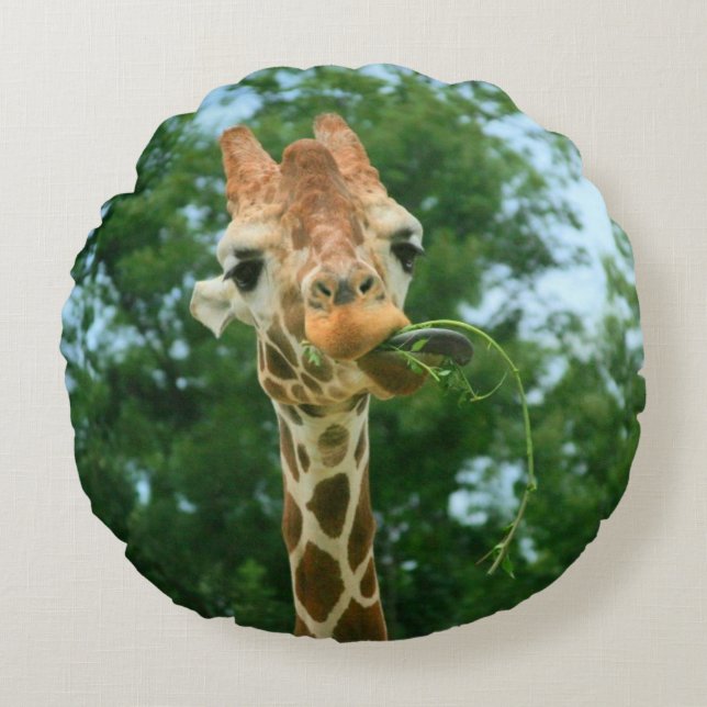 Giraffe Comer malezas Cojín decorativo redondo (Anverso)
