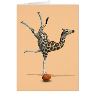 Giraffe de equilibrio