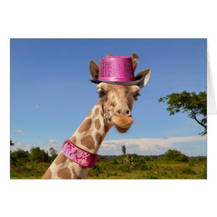 Giraffe en gorra rosa brillante