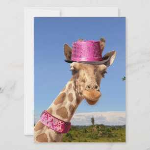 Giraffe en gorra rosa brillante
