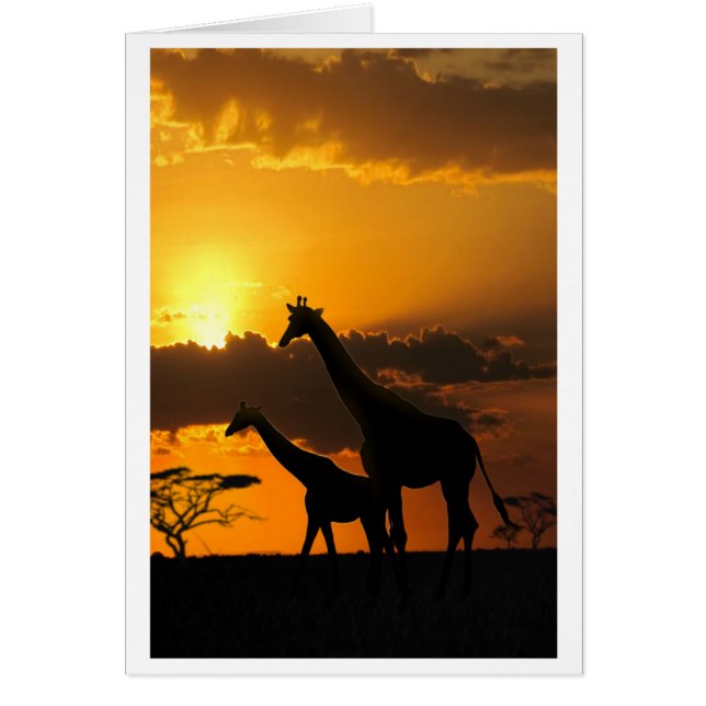 Giraffe Family 2 (Frente)