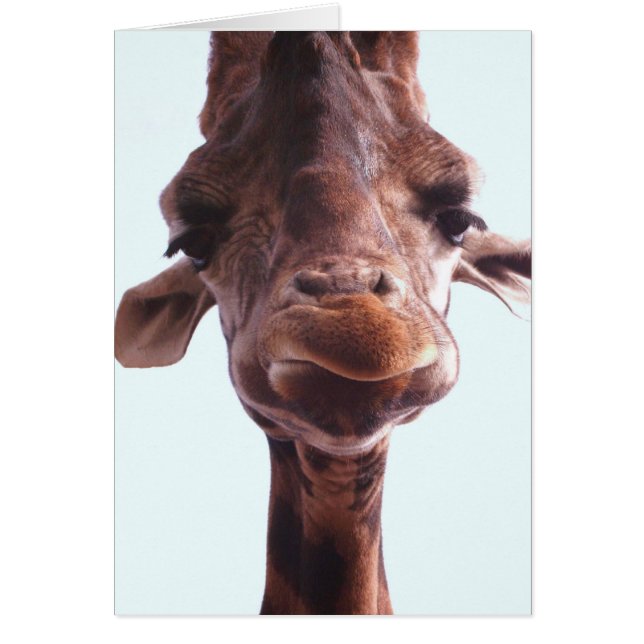 Giraffe Funny Face (Frente)