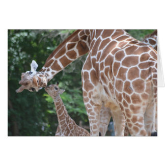 Giraffe Mom and Baby