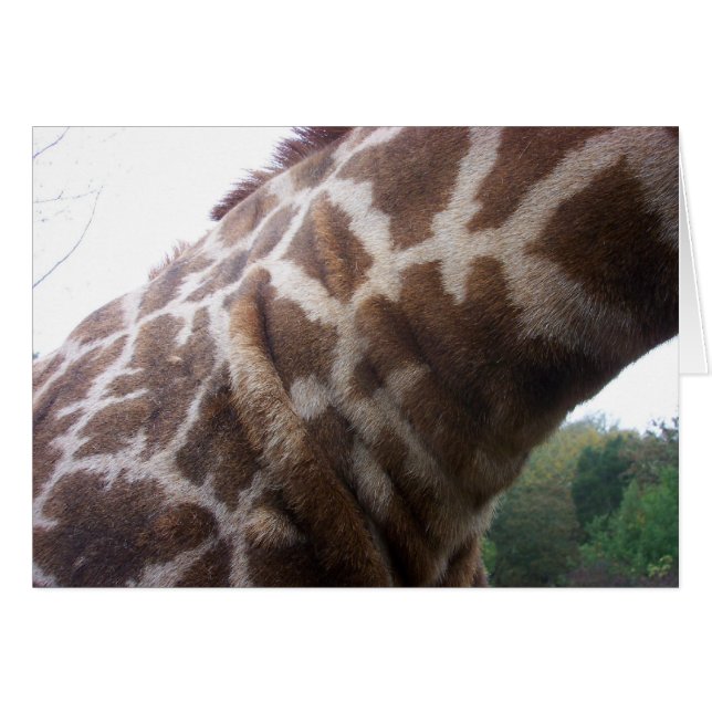 Giraffe Neck (Anverso (Horizontal))
