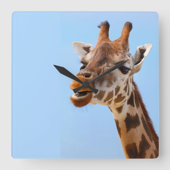 Giraffe Retrato reloj de pared (Anverso)