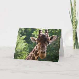 Giraffe ・ Tarjeta de felicitación