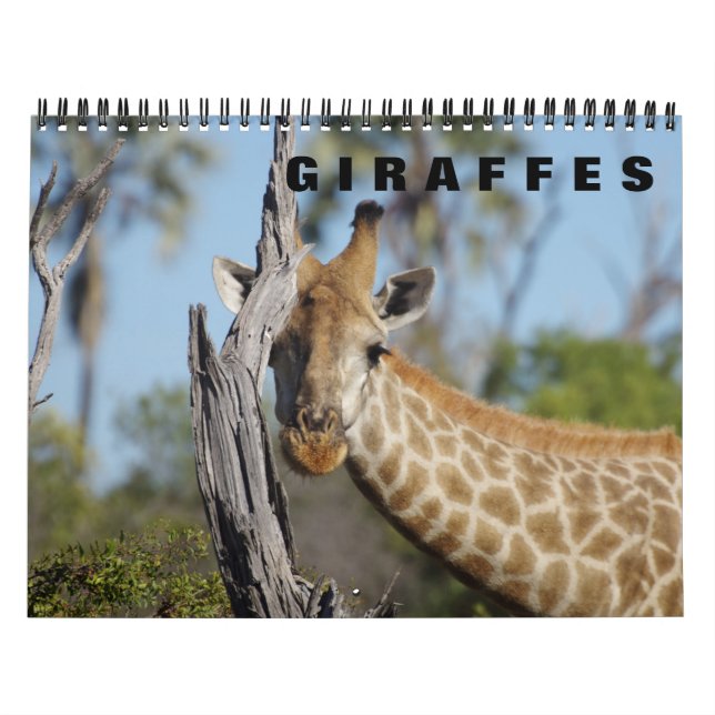 GIRAFFES a Calendario 2019 (Tapa)