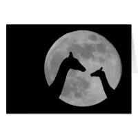 Giraffes En La Noche De Fullmoon