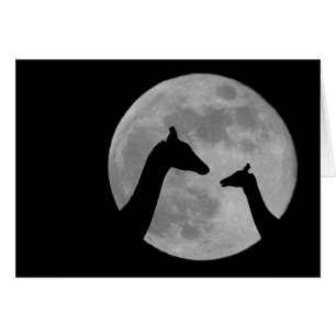 Giraffes En La Noche De Fullmoon