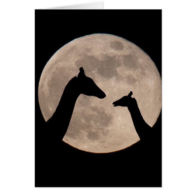 Giraffes En Luna Llena (Frente)