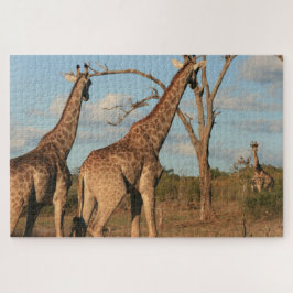 Giraffes Jigsaw rompecabezas