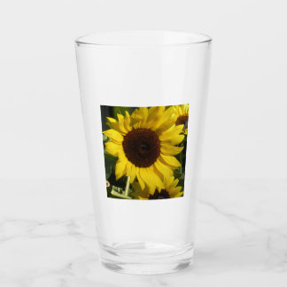 Girasol
