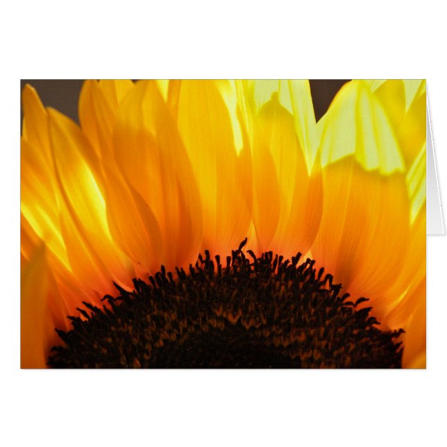 Girasol (Anverso (Horizontal))