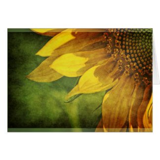 Girasol