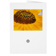 Girasol
