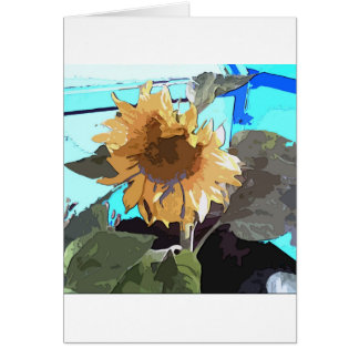 Girasol 14