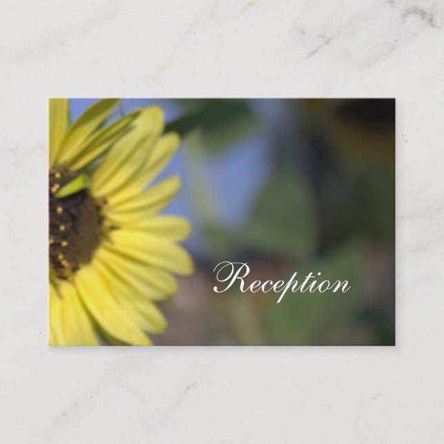 girasol amarillo de verano brillante, recepción de (Anverso)