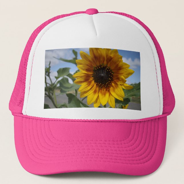 Girasol amarillo dorado, Gorra de camionetas de da (Anverso)
