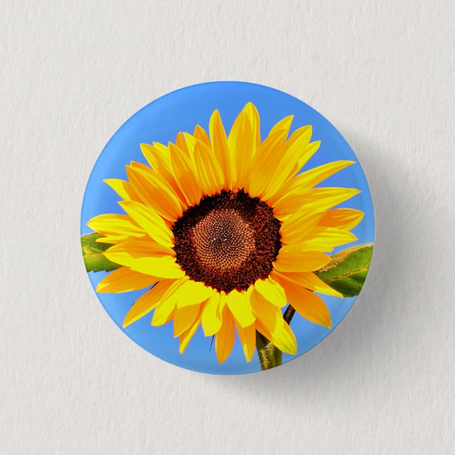 Girasol amarillo en botón cielo azul (Anverso)