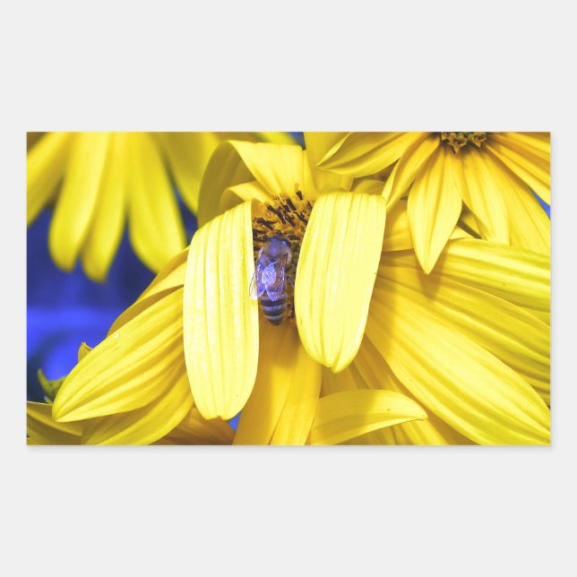 Girasol amarillo, Pegatinas de abejas azules (Anverso)