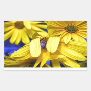 Girasol amarillo, Pegatinas de abejas azules