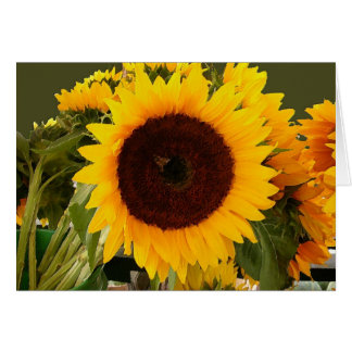 Girasol con la abeja