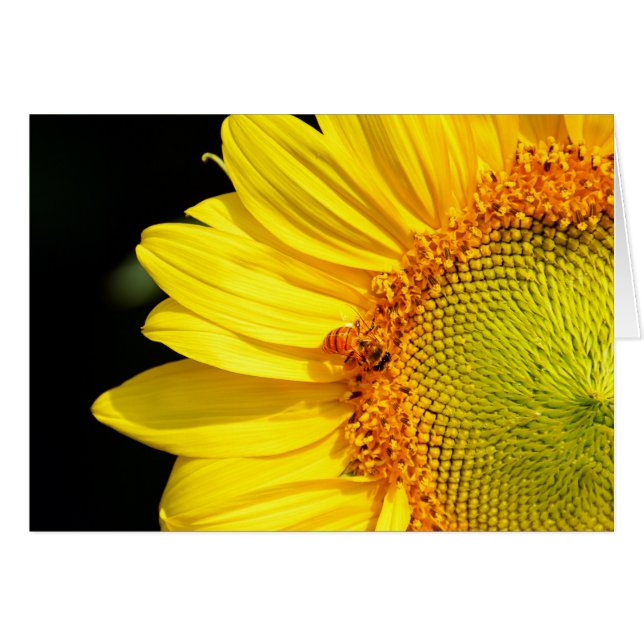 Girasol con la tarjeta en blanco de la abeja (Anverso (Horizontal))