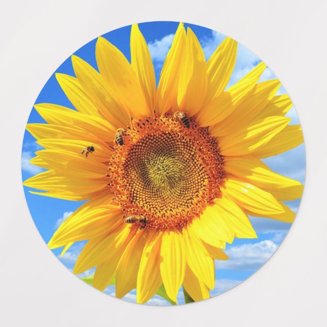 Girasol con Pegatinas de abejas (Diseño 1)
