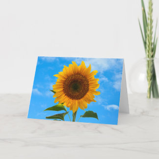Girasol con tarjeta de saludo azul cielo