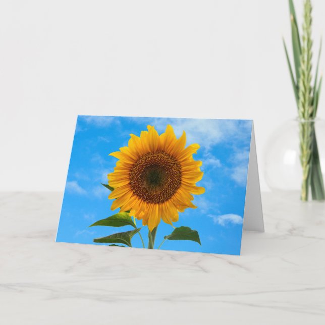 Girasol con tarjeta de saludo azul cielo (Anverso)