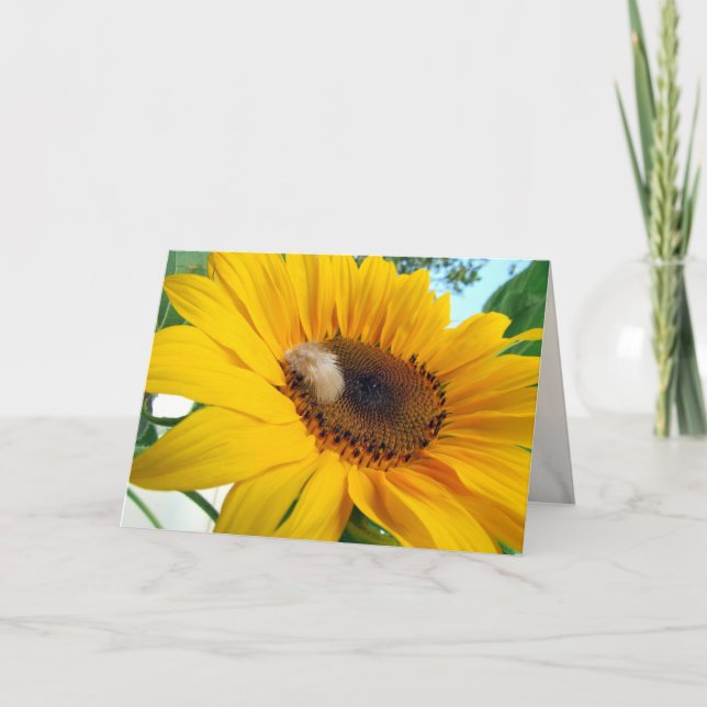 Girasol con tarjeta de saludo de pluma (Anverso)