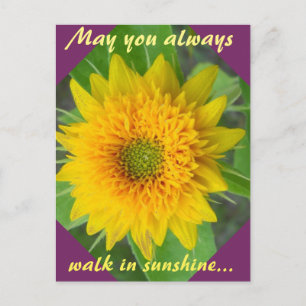 Girasol de diamante con postal inspiradora