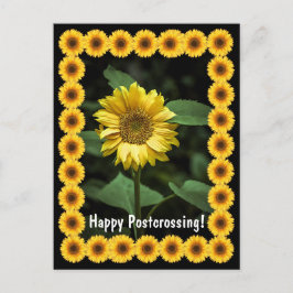 Girasol de posta - postal