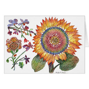 Girasol del día temprano