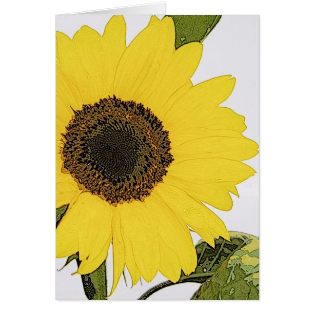 Girasol del rocío de la mañana (Frente)